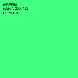 #43FF80 - De York Color Image