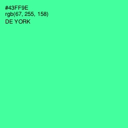 #43FF9E - De York Color Image