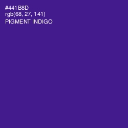 #441B8D - Pigment Indigo Color Image