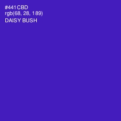 #441CBD - Daisy Bush Color Image