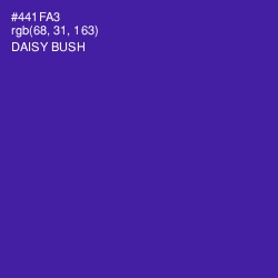 #441FA3 - Daisy Bush Color Image