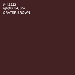 #442223 - Crater Brown Color Image