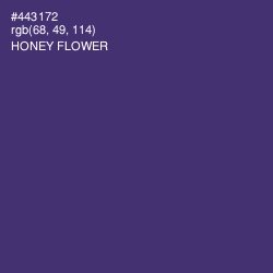 #443172 - Honey Flower Color Image