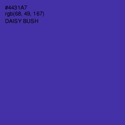 #4431A7 - Daisy Bush Color Image