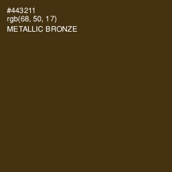 #443211 - Metallic Bronze Color Image