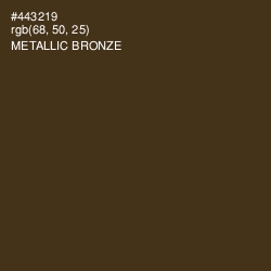 #443219 - Metallic Bronze Color Image