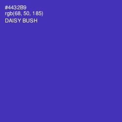 #4432B9 - Daisy Bush Color Image