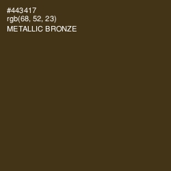 #443417 - Metallic Bronze Color Image