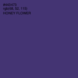 #443473 - Honey Flower Color Image