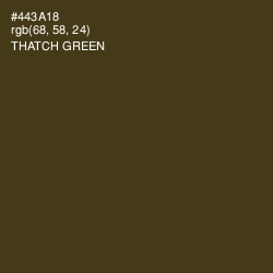 #443A18 - Thatch Green Color Image