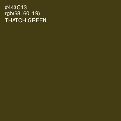#443C13 - Thatch Green Color Image