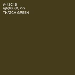 #443C1B - Thatch Green Color Image