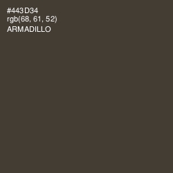 #443D34 - Armadillo Color Image