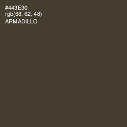 #443E30 - Armadillo Color Image