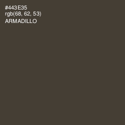 #443E35 - Armadillo Color Image