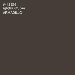 #443E36 - Armadillo Color Image