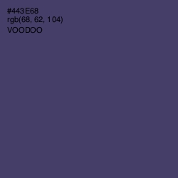 #443E68 - Voodoo Color Image