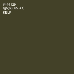 #444129 - Kelp Color Image