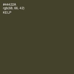 #44422A - Kelp Color Image