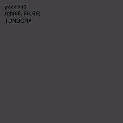 #444245 - Tundora Color Image