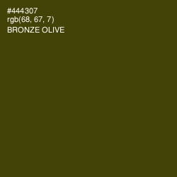 #444307 - Bronze Olive Color Image