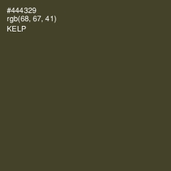 #444329 - Kelp Color Image