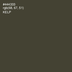 #444333 - Kelp Color Image