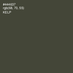 #444637 - Kelp Color Image