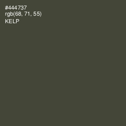 #444737 - Kelp Color Image