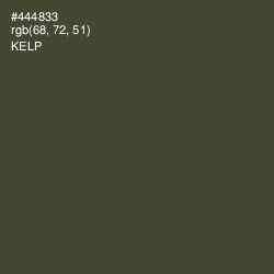 #444833 - Kelp Color Image