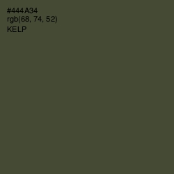 #444A34 - Kelp Color Image