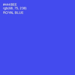 #444BEE - Royal Blue Color Image
