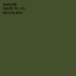 #44502B - Woodland Color Image