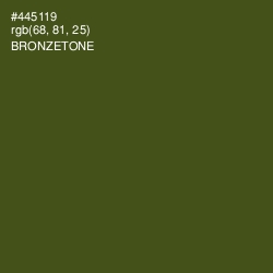 #445119 - Bronzetone Color Image