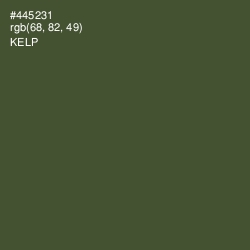 #445231 - Kelp Color Image