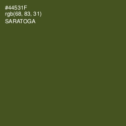 #44531F - Saratoga Color Image