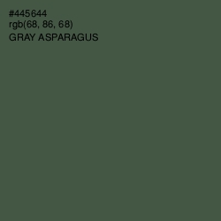 #445644 - Gray Asparagus Color Image