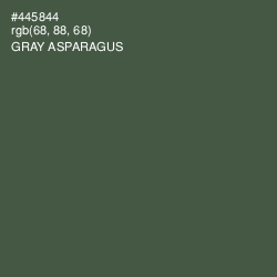 #445844 - Gray Asparagus Color Image