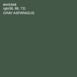 #445848 - Gray Asparagus Color Image