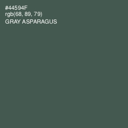 #44594F - Gray Asparagus Color Image