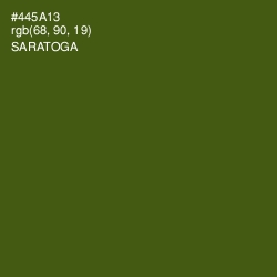 #445A13 - Saratoga Color Image