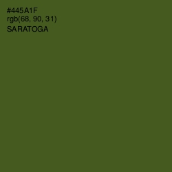 #445A1F - Saratoga Color Image