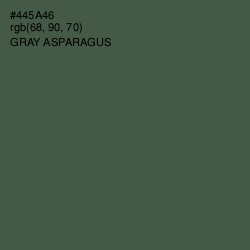 #445A46 - Gray Asparagus Color Image