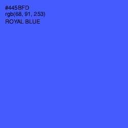 #445BFD - Royal Blue Color Image