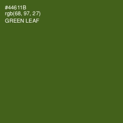 #44611B - Green Leaf Color Image