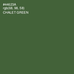 #44623A - Chalet Green Color Image