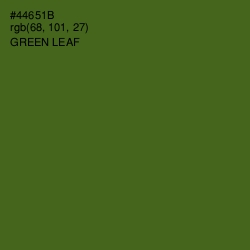 #44651B - Green Leaf Color Image