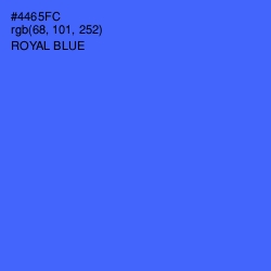 #4465FC - Royal Blue Color Image