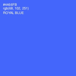 #4466FB - Royal Blue Color Image