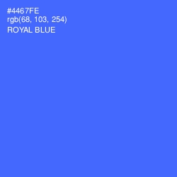 #4467FE - Royal Blue Color Image